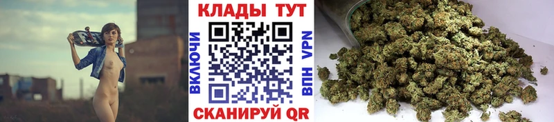 Где купить наркотики Покачи COCAIN  Меф мяу мяу  ГАШИШ  ГЕРОИН  Конопля  A PVP 