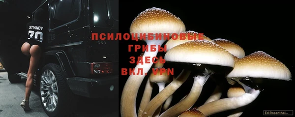 MDMA Premium VHQ Армянск