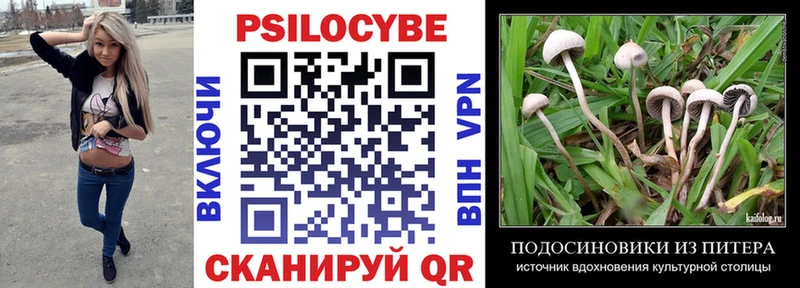 Псилоцибиновые грибы Cubensis  Покачи 