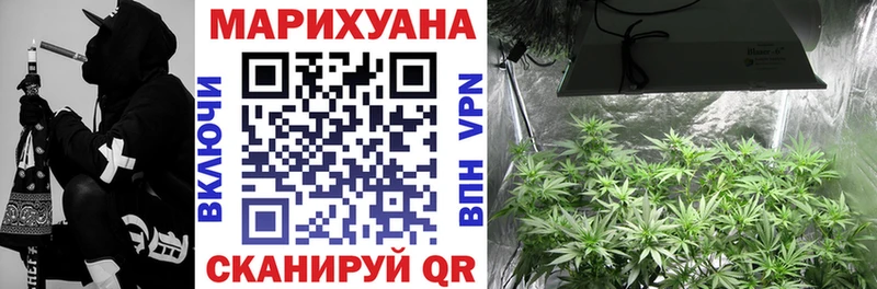 Конопля план Покачи